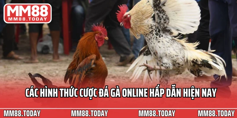Các hình thức cược đá gà online hấp dẫn hiện nay